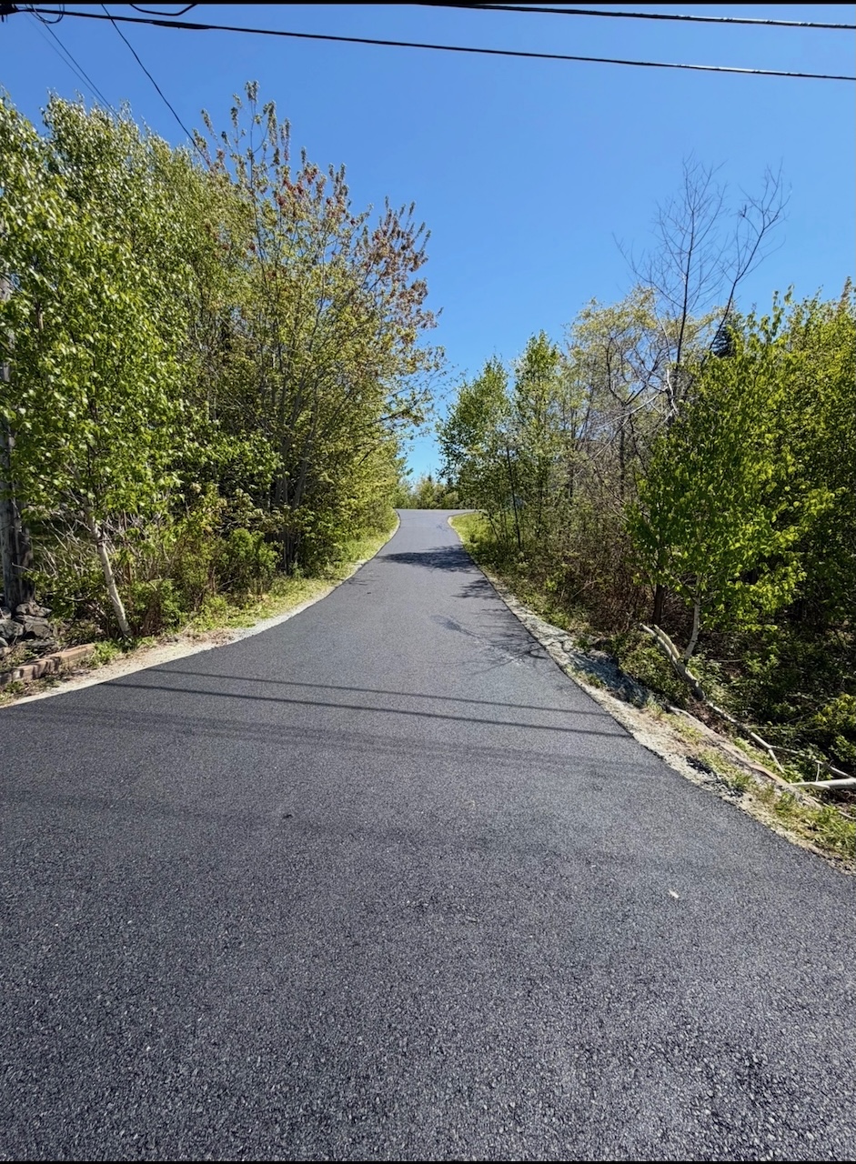 Fresh asphalt driveway surrounded by trees